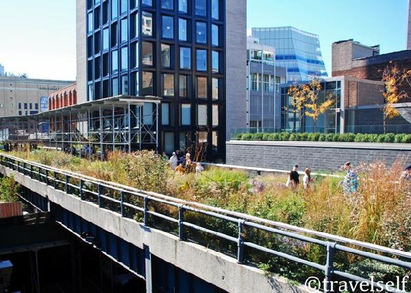 High Line Park in New York photo