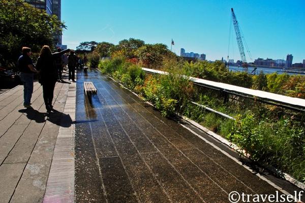 High Line Park, New York photo