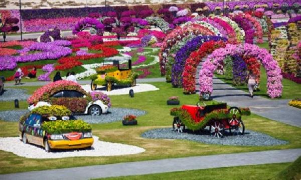 Сад цветов в Дубае фото